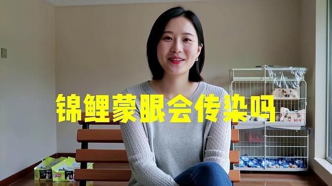 錦鯉蒙眼病會傳染嗎？【愛寵先鋒，魚蒙眼最快治好3步搞定】