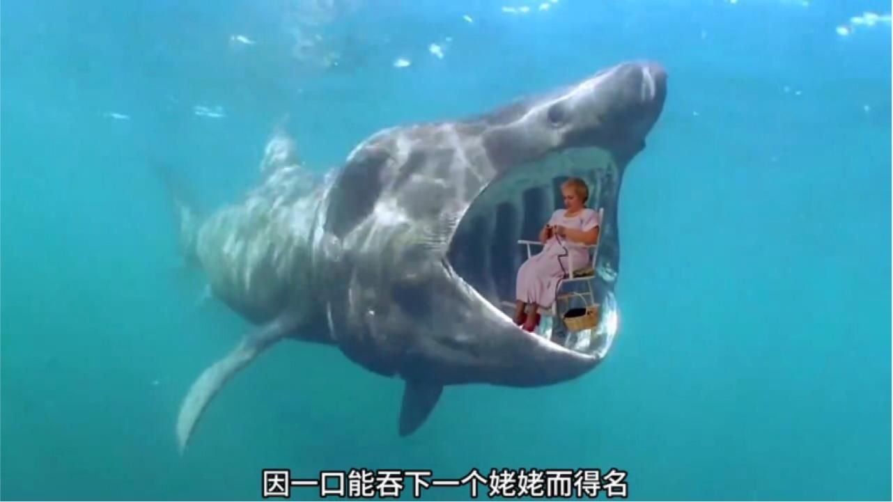 龍魚內(nèi)寄自愈需要多長時間龍魚內(nèi)寄自愈的概率有多大，龍魚內(nèi)寄能否自愈？ 龍魚內(nèi)寄自愈需要多長時間龍魚內(nèi)寄自愈的概率有多大，龍魚內(nèi)寄能否自愈？ 龍魚百科 第2張