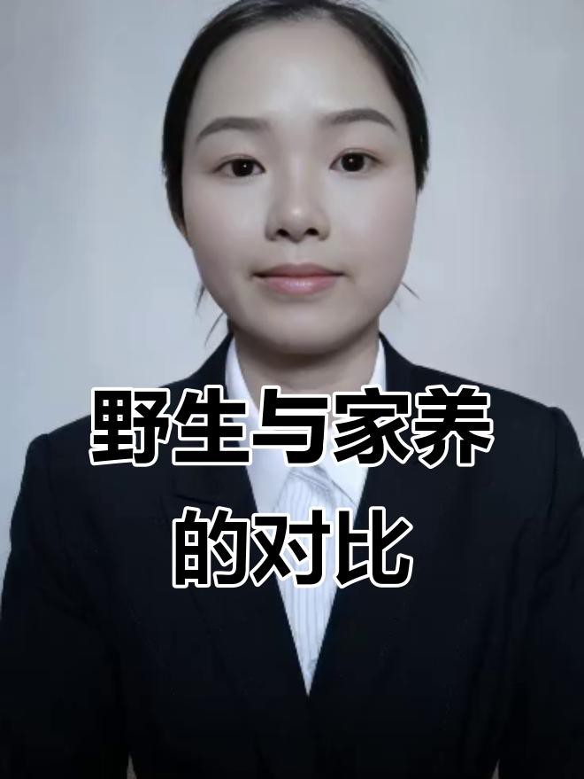 如何區分野生和養殖的雷龍魚？【野生與人工的區別】 如何區分野生和養殖的雷龍魚？【野生與人工的區別】 龍魚論壇 第4張