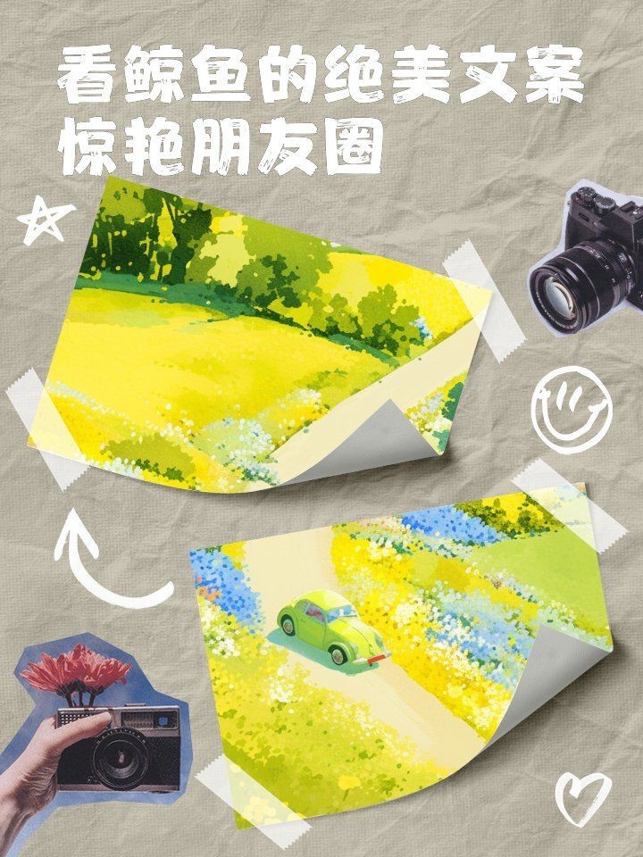 鯨魚卡通圖片【鯨魚卡通圖片大全可愛簡筆畫彩色版熊貓辦公可愛頭像大全】