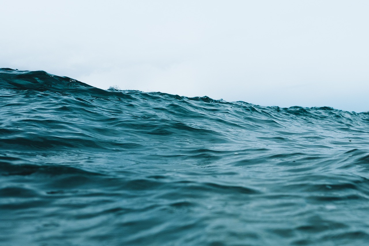 如何判斷海水細菌感染的嚴重程度？【健康科普丨警惕沉默的“海洋殺手”】 如何判斷海水細菌感染的嚴重程度？【健康科普丨警惕沉默的“海洋殺手”】 龍魚百科 第2張