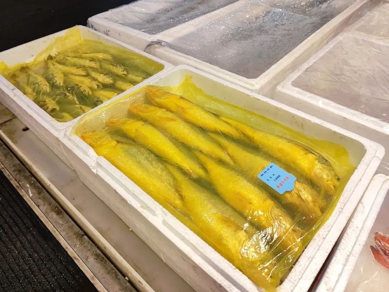 龍頭魚為什么禁止賣【關(guān)于龍頭魚禁售的原因及相關(guān)規(guī)定】
