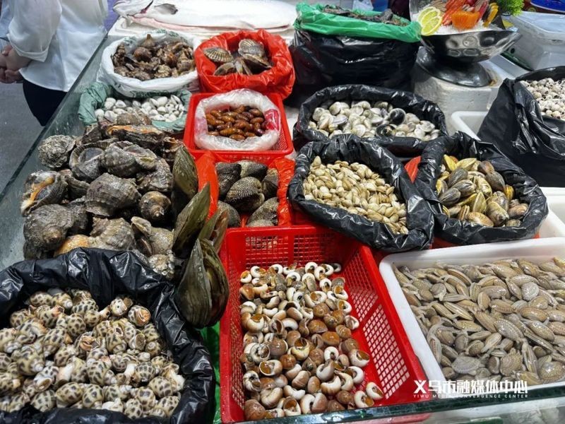 龍頭魚為什么禁止賣【關于龍頭魚禁售的原因及相關規定】