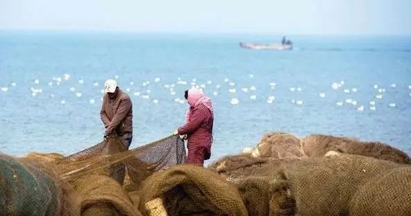 龍頭魚為什么禁止賣【關(guān)于龍頭魚禁售的原因及相關(guān)規(guī)定】