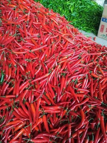 紅辣椒圖片大全大圖【紅色辣椒圖片大全覓知網】