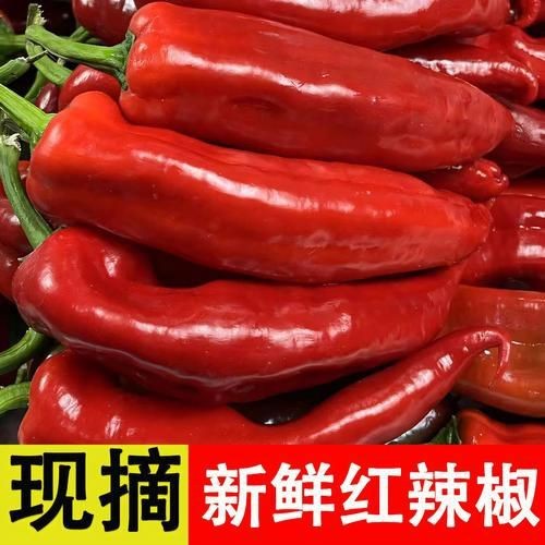 紅辣椒圖片大全大圖【紅色辣椒圖片大全覓知網】