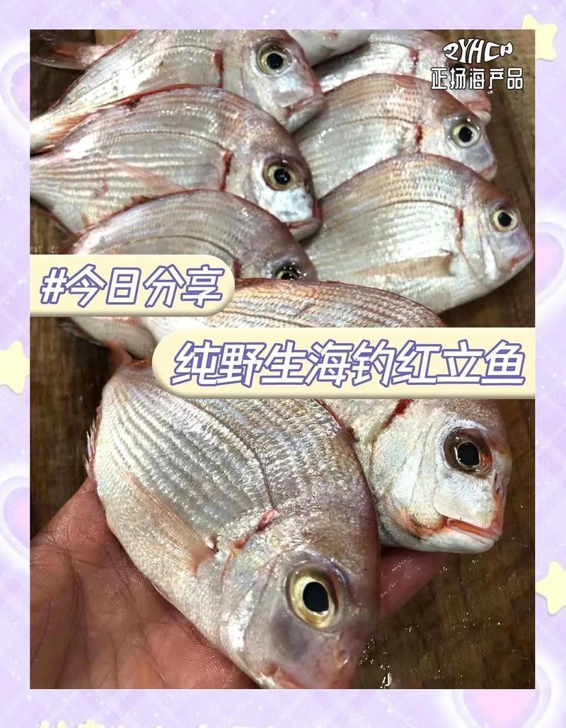 寧波紅立魚多少一斤【寧波市場紅立魚價格、營養價值及消費建議，紅立魚價格對比表】 寧波紅立魚多少一斤【寧波市場紅立魚價格、營養價值及消費建議，紅立魚價格對比表】 龍魚論壇 第8張
