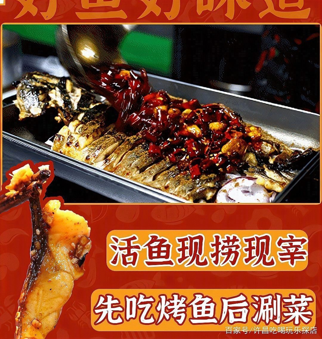許昌龍魚店【許昌有哪些特色龍魚品種？】 許昌龍魚店【許昌有哪些特色龍魚品種？】 全國水族館企業名錄 第3張