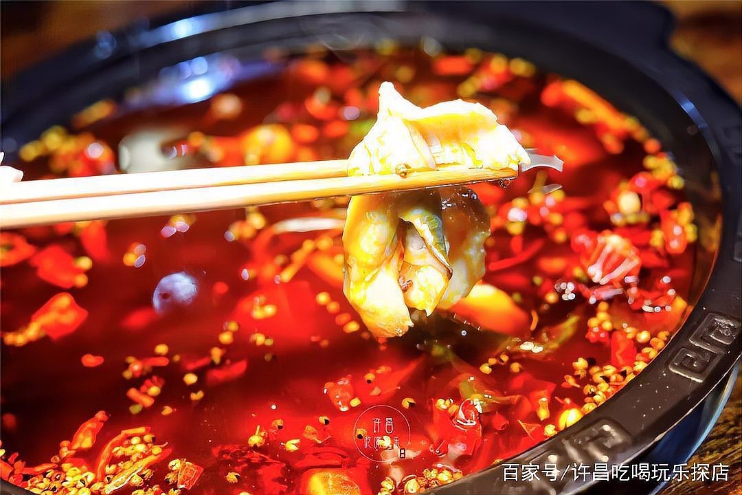 許昌龍魚店【許昌有哪些特色龍魚品種？】 許昌龍魚店【許昌有哪些特色龍魚品種？】 全國水族館企業名錄 第8張