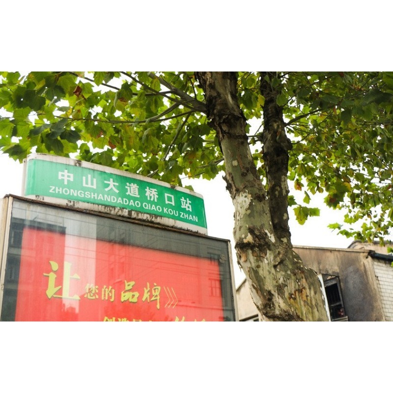 硚口龍魚店【武漢市硚口區博瑞龍魚電子商務經營部】