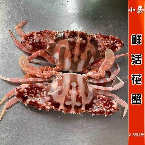 紅蟹魚圖片【紅蟹魚的家常做法】 紅蟹魚圖片【紅蟹魚的家常做法】 龍魚論壇 第2張