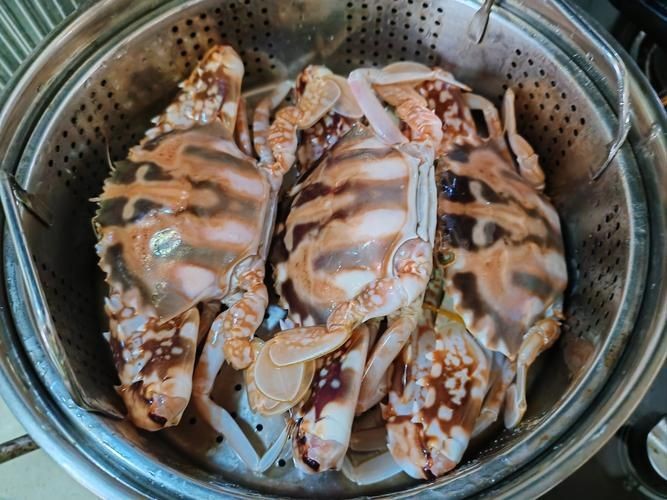 紅蟹魚圖片【紅蟹魚的家常做法】 紅蟹魚圖片【紅蟹魚的家常做法】 龍魚論壇 第4張