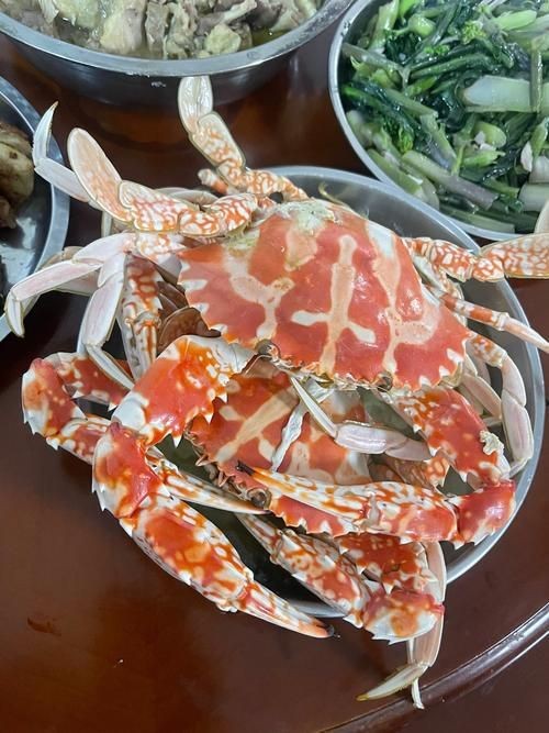 紅蟹魚圖片【紅蟹魚的家常做法】 紅蟹魚圖片【紅蟹魚的家常做法】 龍魚論壇 第12張