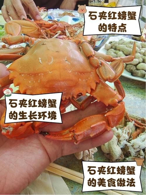 紅蟹魚圖片【紅蟹魚的家常做法】 紅蟹魚圖片【紅蟹魚的家常做法】 龍魚論壇 第13張