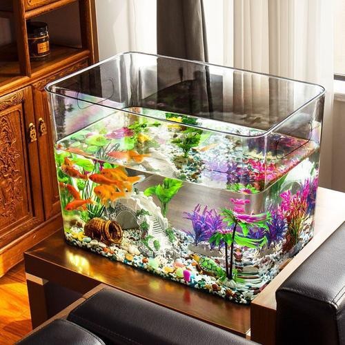 100種魚缸圖片【6種絕美魚缸造景全攻略】