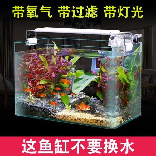 100種魚缸圖片【6種絕美魚缸造景全攻略】