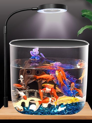 100種魚缸圖片【6種絕美魚缸造景全攻略】