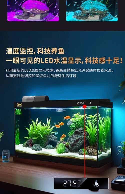 100種魚缸圖片【6種絕美魚缸造景全攻略】
