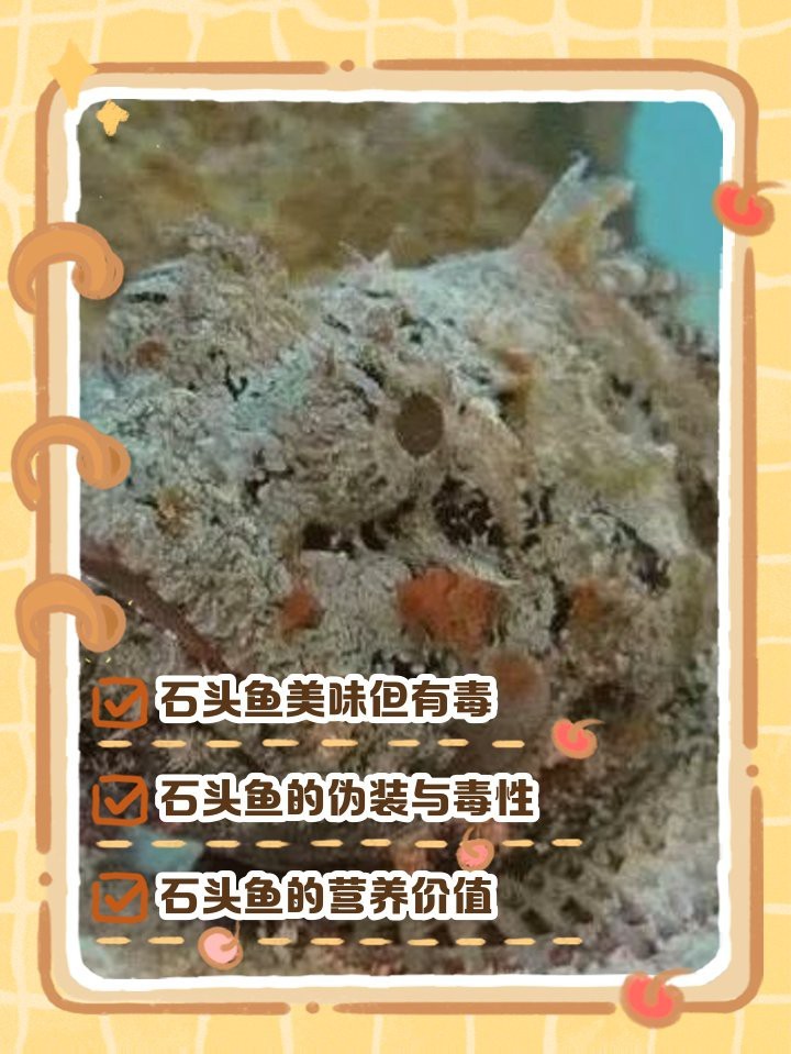 石頭魚為何要盡量少吃【關(guān)于石頭魚的一些問題】