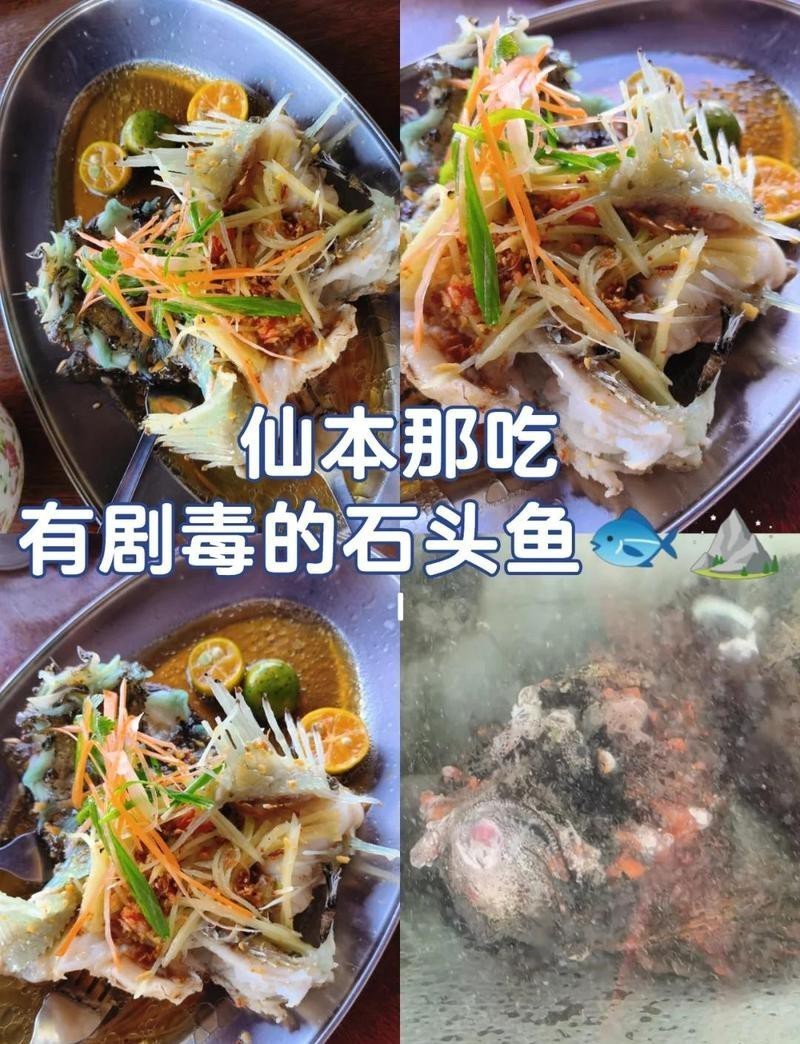 石頭魚為何要盡量少吃【關(guān)于石頭魚的一些問題】