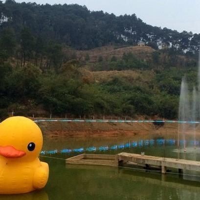 龍騰魚是雜牌魚嗎【龍騰釣具怎樣加盟加盟加盟流程是什么加盟流程是什么】 龍魚百科 第3張 龍騰魚是雜牌魚嗎【龍騰釣具怎樣加盟加盟加盟流程是什么加盟流程是什么】 龍騰魚是雜牌魚嗎【龍騰釣具怎樣加盟加盟加盟流程是什么加盟流程是什么】 龍魚百科 第3張