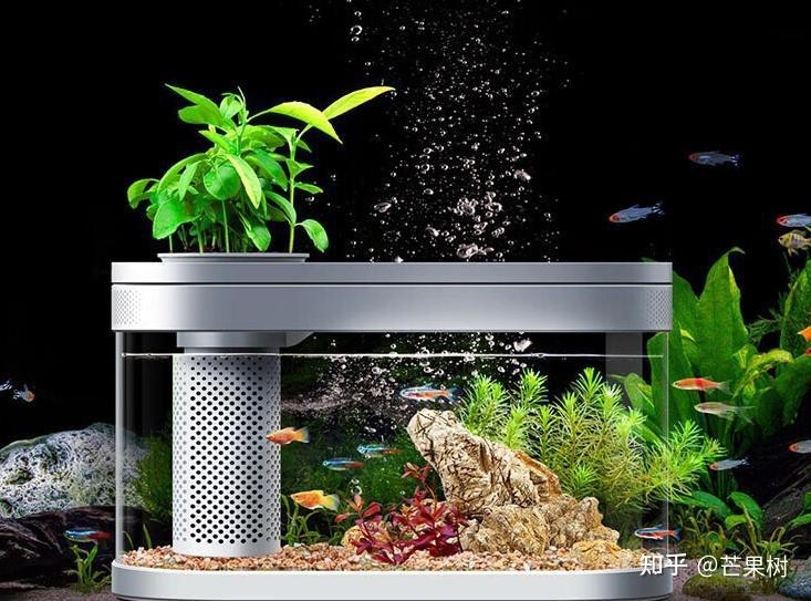 龍魚魚缸品牌十大排名【龍魚魚缸品牌十大排名及牌實力分析】