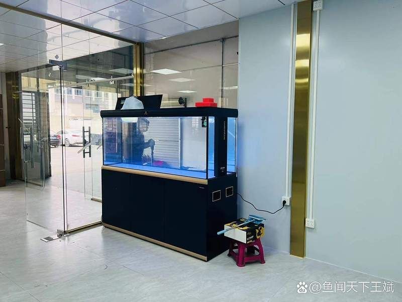 楊凌魚缸定做【楊凌可麗愛魚缸定制服務】