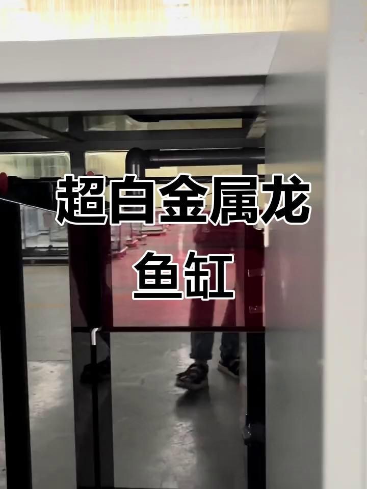 龍魚缸需要哪些特殊設備？【龍魚缸特殊設備配置需根據龍魚品種、魚缸尺寸及水質管理需求綜合選擇】