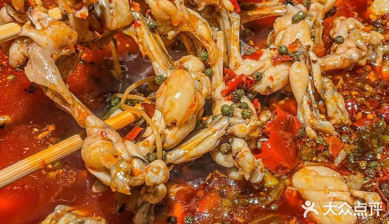 雙流龍魚店【雙流區(qū)的魚鮮美食店】 雙流龍魚店【雙流區(qū)的魚鮮美食店】 全國水族館企業(yè)名錄 第2張