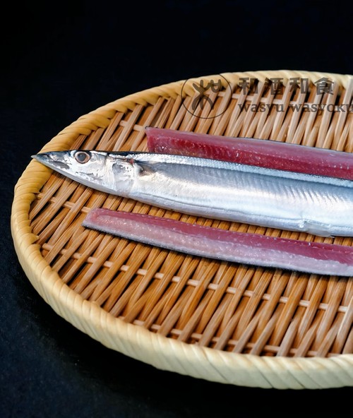 刀魚圖片大全【刀魚圖文解析】
