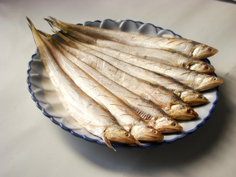 刀魚圖片大全【刀魚圖文解析】