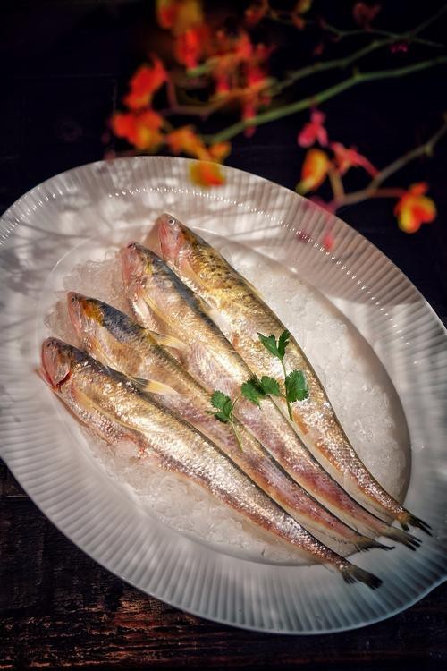 刀魚圖片大全【刀魚圖文解析】