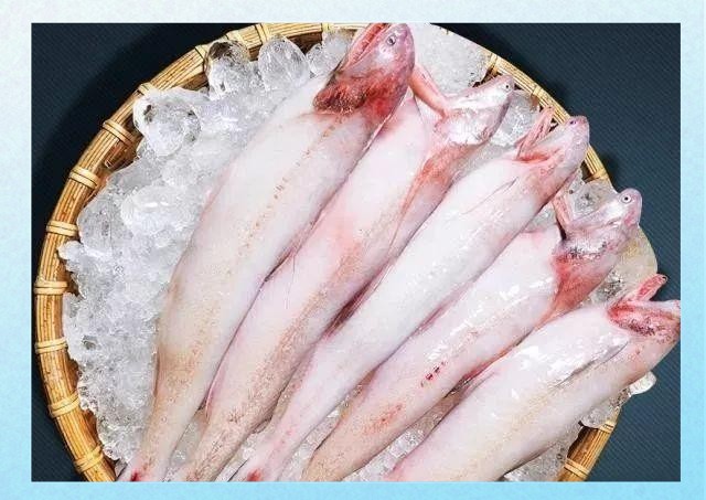 能詳細(xì)描述一下龍頭魚嗎？【東莞奇遇：男子釣獲龍頭魚，神秘身份引熱議！】