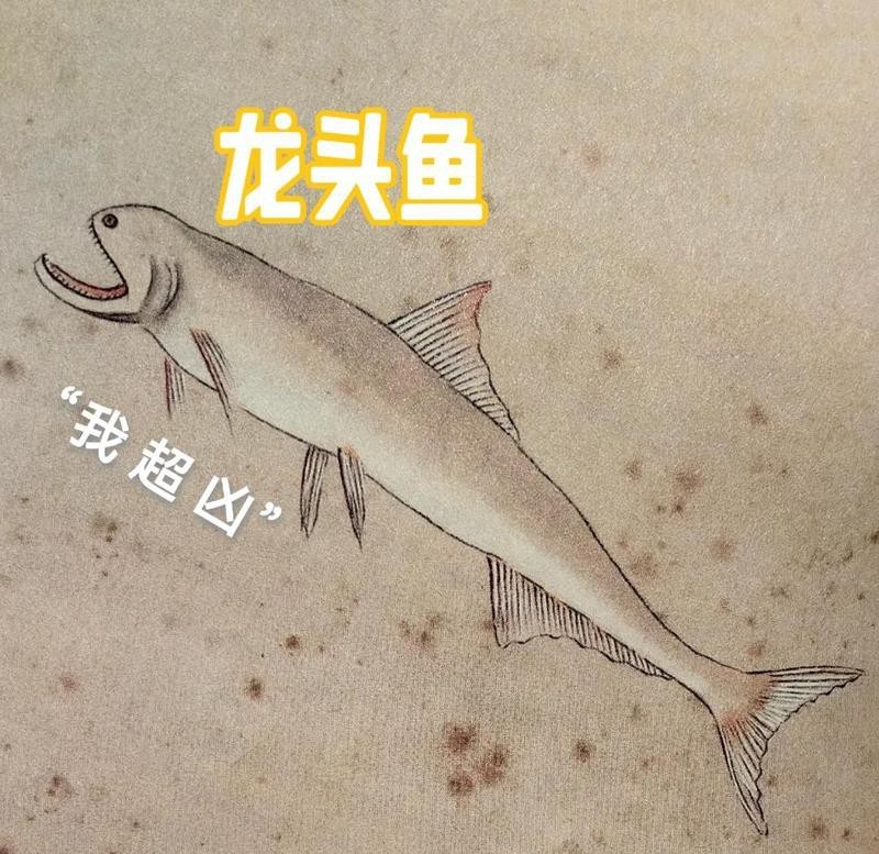 能詳細(xì)描述一下龍頭魚嗎？【東莞奇遇：男子釣獲龍頭魚，神秘身份引熱議！】