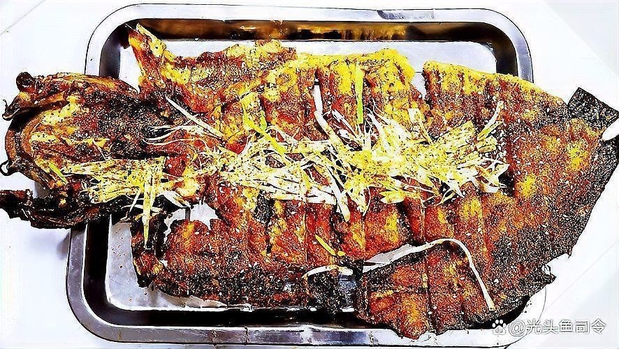 廣東埃及鯰魚能吃嗎【埃及塘鲺、革胡子鯰“變臟”之謎，釣魚人木木“變臟”之謎】 廣東埃及鯰魚能吃嗎【埃及塘鲺、革胡子鯰“變臟”之謎，釣魚人木木“變臟”之謎】 全國水族館企業(yè)名錄 第9張