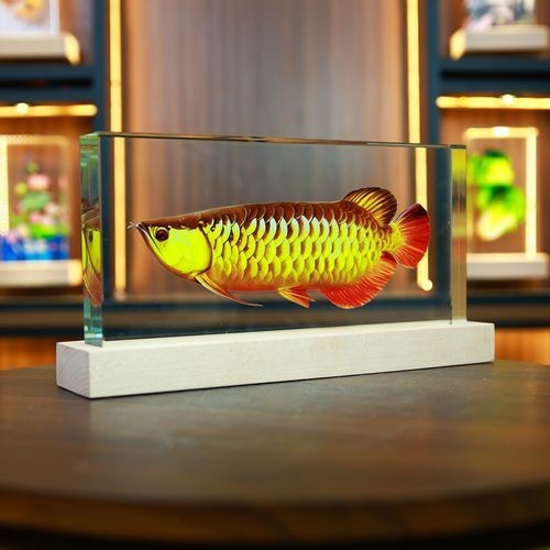 龍魚象征著什么吉祥物圖片【千秋文化,龍魚擺件擺放秘籍,招財運勢擋不住!】