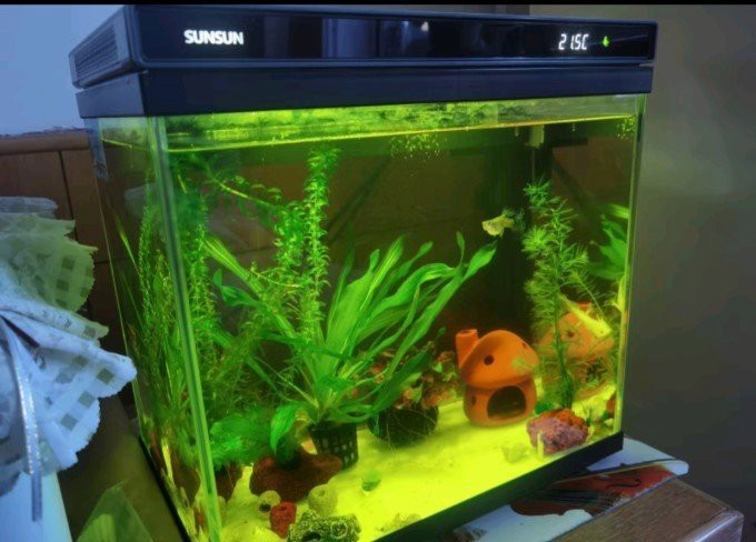 森森魚缸各型號(hào)及價(jià)格【智能模式回答完成調(diào)用工具：森森魚缸全系列選購指南】
