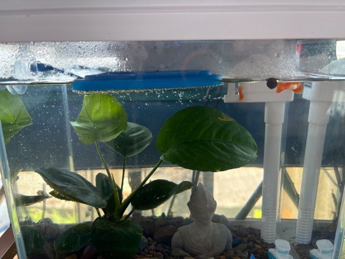 森森魚缸各型號(hào)及價(jià)格【智能模式回答完成調(diào)用工具：森森魚缸全系列選購指南】