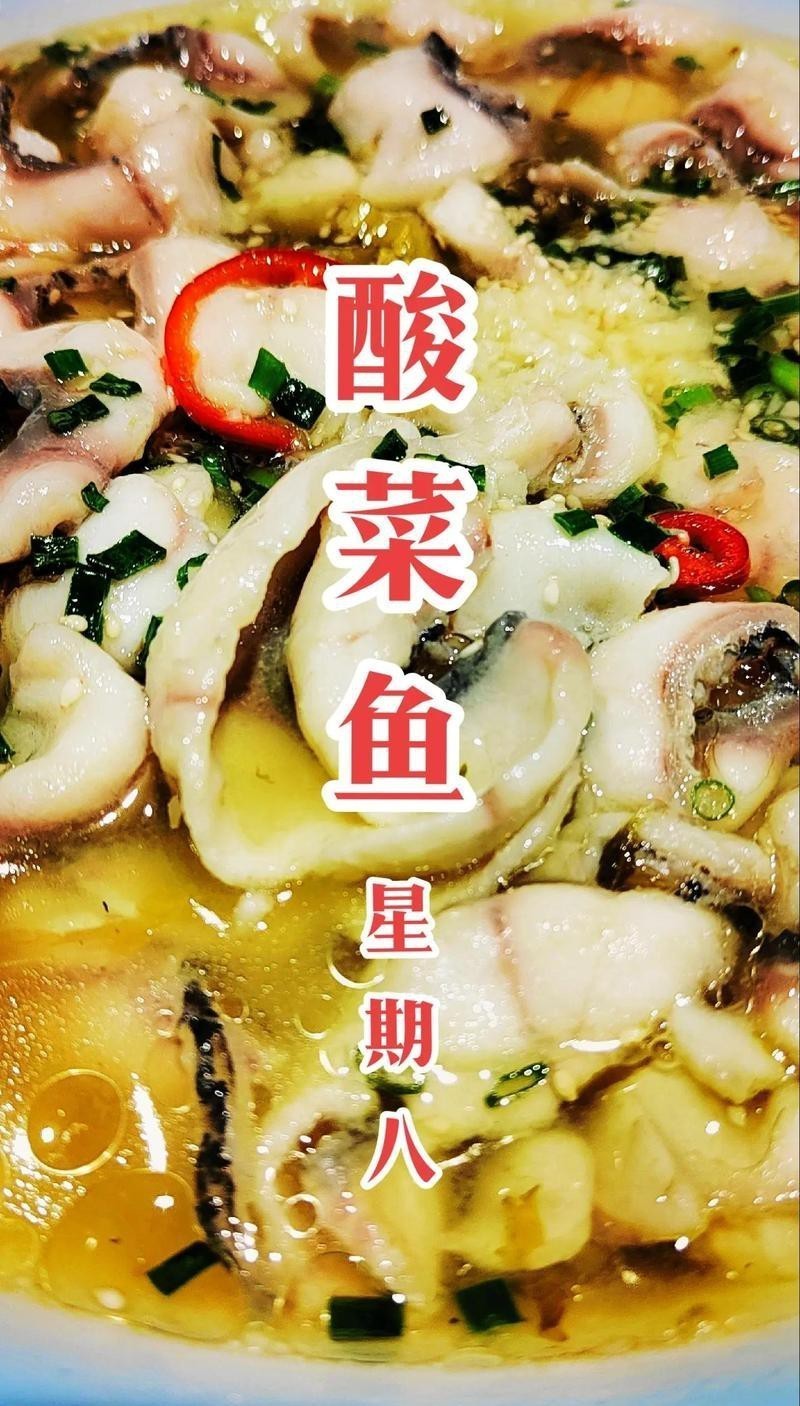 新北龍魚店【常州新北區(qū)的龍魚店哪家口碑最好】