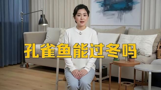 冷水孔雀魚 凍不死【孔雀魚低溫急救方法,親測孔雀魚能忍耐的最低溫度嗶哩嗶哩】 龍魚百科 第5張 冷水孔雀魚 凍不死【孔雀魚低溫急救方法,親測孔雀魚能忍耐的最低溫度嗶哩嗶哩】 冷水孔雀魚 凍不死【孔雀魚低溫急救方法,親測孔雀魚能忍耐的最低溫度嗶哩嗶哩】 龍魚百科 第5張