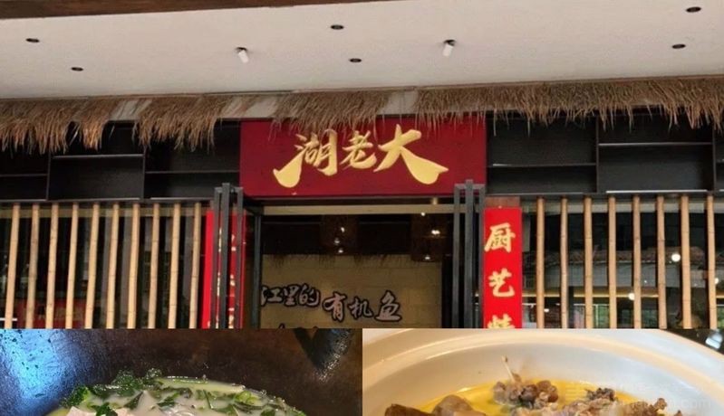 銅官龍魚店【古代只有皇帝才吃得起的鱘龍魚,1折嘗鮮!】 銅官龍魚店【古代只有皇帝才吃得起的鱘龍魚,1折嘗鮮!】 全國水族館企業名錄 第8張