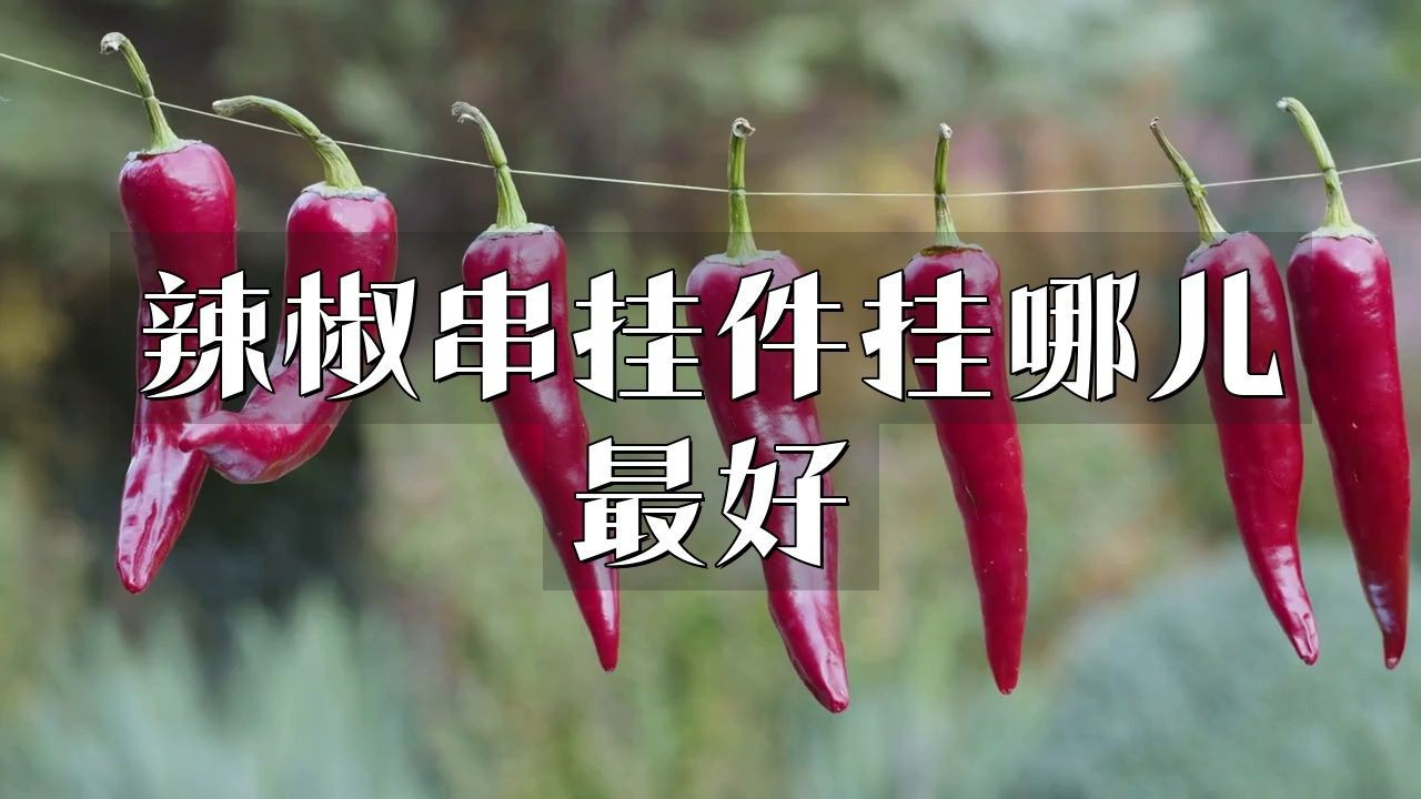 辣椒串不能隨便掛【什么屬相的人不能掛辣椒】