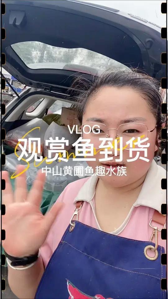 蛟河水族店【蛟河市御錦閣水族觀賞魚商店和御錦閣水族店為何注銷】 全國水族館企業(yè)名錄 第1張 蛟河水族店【蛟河市御錦閣水族觀賞魚商店和御錦閣水族店為何注銷】 蛟河水族店【蛟河市御錦閣水族觀賞魚商店和御錦閣水族店為何注銷】 全國水族館企業(yè)名錄 第1張