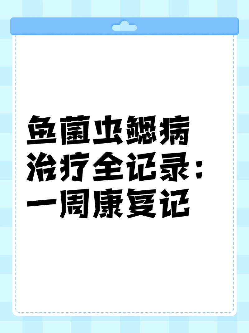 龍魚鰓蓋感染會(huì)自愈嗎？【智能模式回答完成調(diào)用工具：龍魚鰓蓋感染能否自愈】