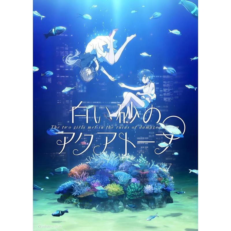 白沙水族店【《白沙的水族館》白沙水族店?duì)I業(yè)時(shí)間是白沙水族店地址在哪里】