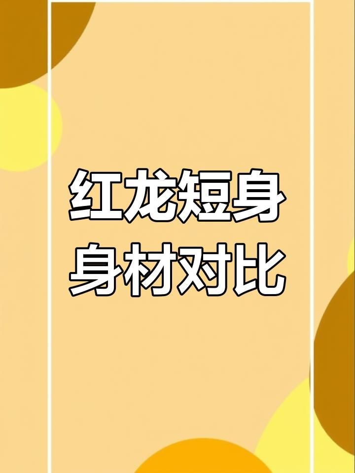 印尼紅龍和馬來紅龍怎么區分【印尼紅龍與馬來西亞紅龍的主要區別】 龍魚百科 第4張 印尼紅龍和馬來紅龍怎么區分【印尼紅龍與馬來西亞紅龍的主要區別】 印尼紅龍和馬來紅龍怎么區分【印尼紅龍與馬來西亞紅龍的主要區別】 龍魚百科 第4張