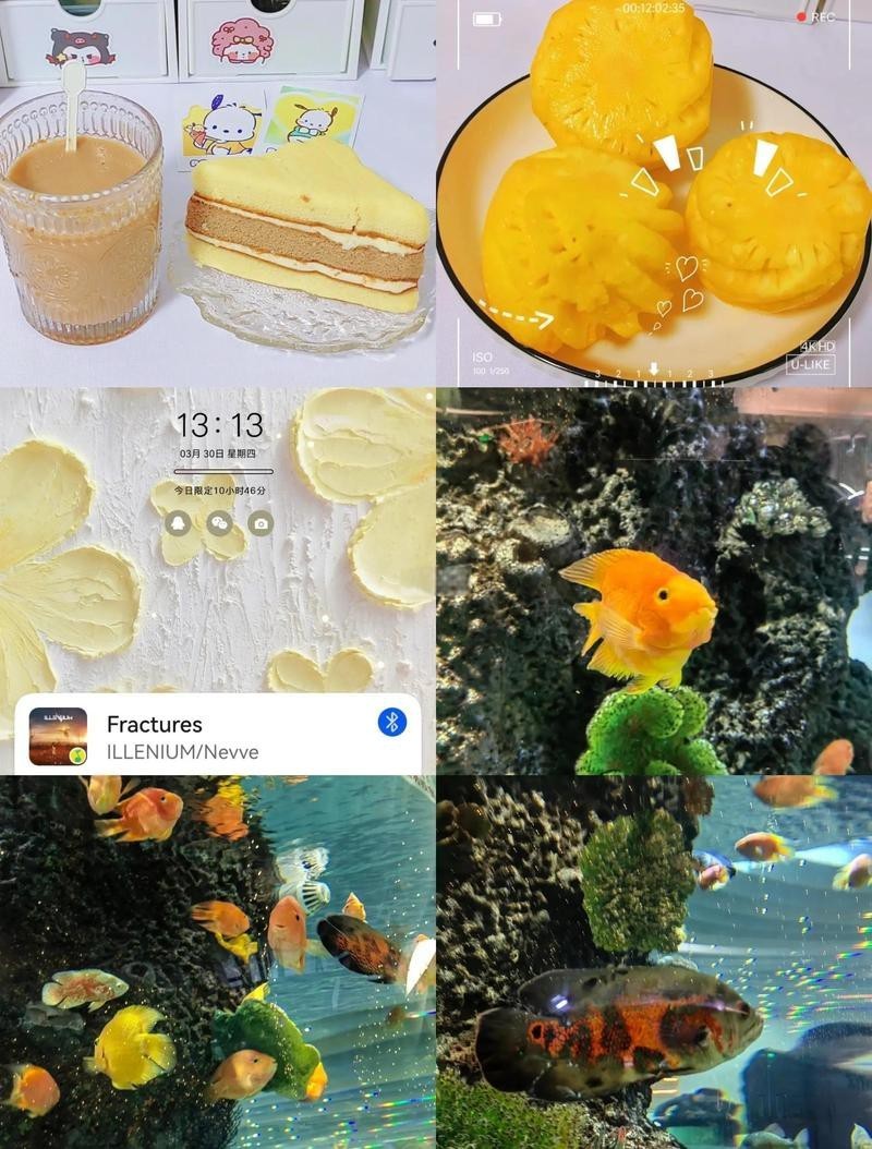雨花臺水族店【南京雨花臺區水族業態】 全國水族館企業名錄 第1張 雨花臺水族店【南京雨花臺區水族業態】 雨花臺水族店【南京雨花臺區水族業態】 全國水族館企業名錄 第1張