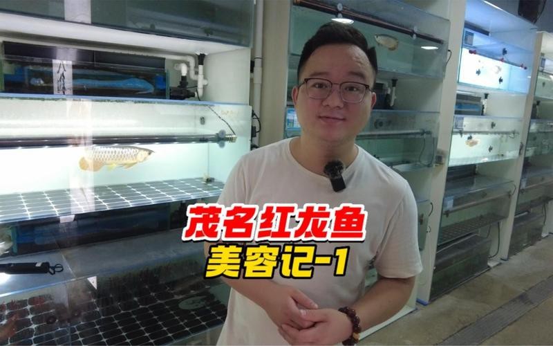 有哪些專業(yè)的紅龍魚美容師推薦？【智能模式回答完成調(diào)用工具：自在招聘】