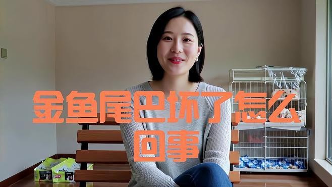 如何預防龍睛金魚感染爛尾??？【智能模式回答完成調用工具：百度健康】 如何預防龍睛金魚感染爛尾病？【智能模式回答完成調用工具：百度健康】 龍魚百科 第2張