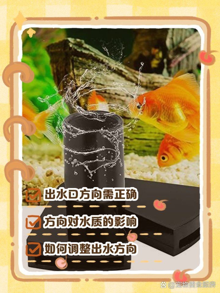 虎斑鴨嘴鯊魚最忌三種東西【百度知道，魚缸鴨嘴三忌】 虎斑鴨嘴鯊魚最忌三種東西【百度知道，魚缸鴨嘴三忌】 龍魚論壇 第4張